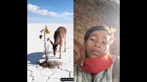 The deer saved the pear tree from drying out by watering it.😭#ai​ #tree​ #save​ #deer​