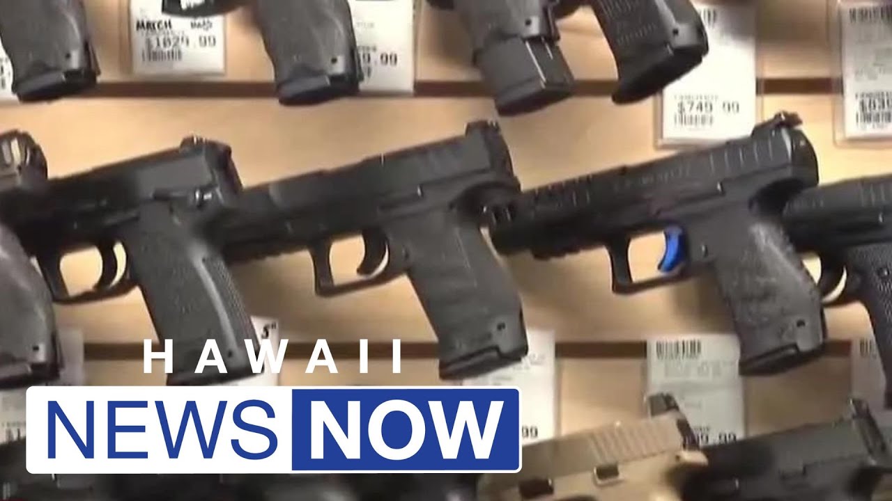 Federal appeals court rules Hawaii can continue to ban firearms in some public places