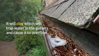 Mr. Gutter Cleaner Mobile screenshot 5