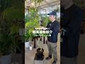 【生産者から聞く】観葉植物紹介　エバーフレッシュ編