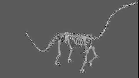 Sh*tty Animations - Part 14 - Quadruped Walk Cycle (3D)