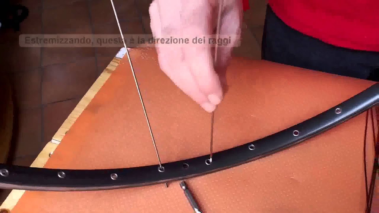 Mozzo ruota bici a ruote per biciclette | Acquisti Online su
