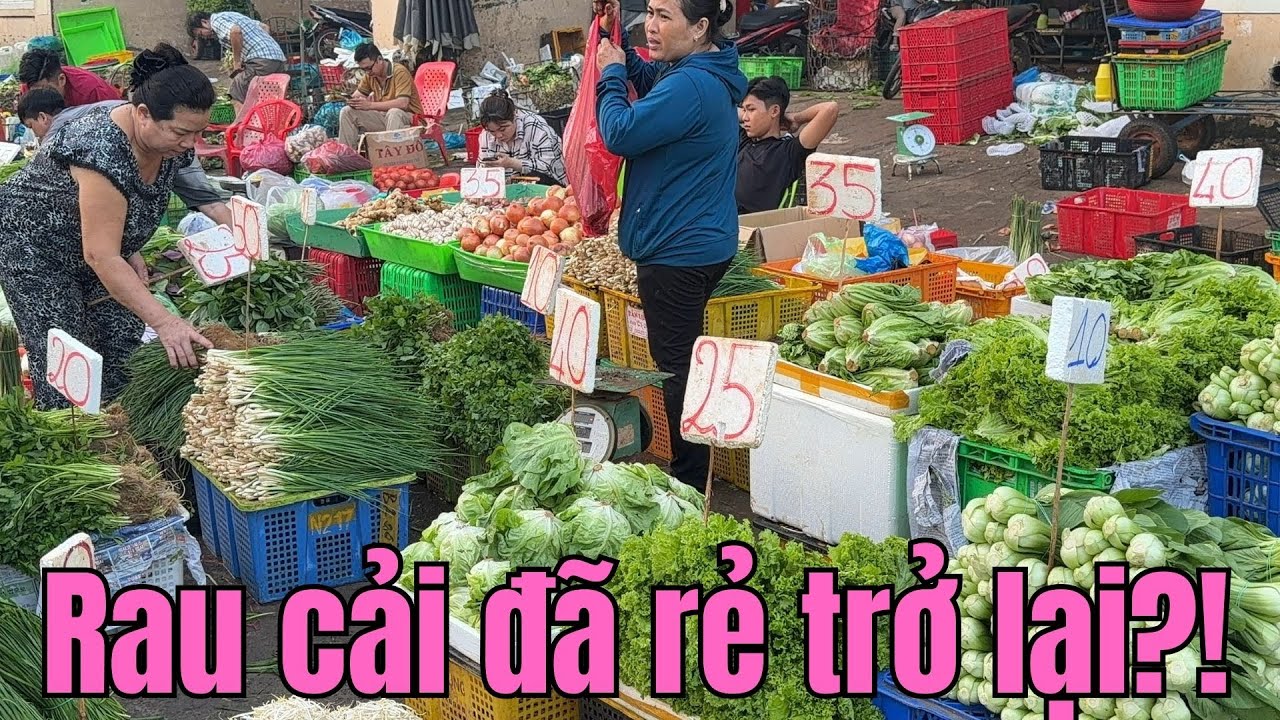 Giá rau cải mới nhất chợ đầu mối Bình Điền||Giá hành lá mau muống có còn 