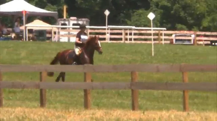 Janet Andres "Heat Wave" Seneca Valley Pony Club H...