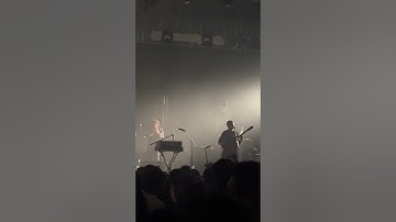 Peter cat recording co - Floated by 2022