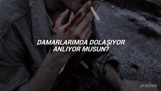 Palaye Royale - Mr. Doctor Man Türkçe Çeviri