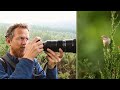 Bird Photography Vlog | Why Use Back Button Focus | Setup on Olympus EM1ii