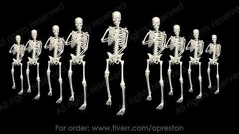 Dancing Skeletons 3D. 3D Skeletons Fanny Dance Animation. Skeleton 3D dance.