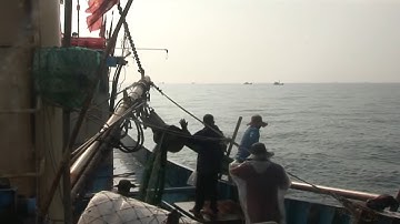 Tin Tức 24h Mới Nhất : Nỗi lo tàu giã cào tận diệt nguồn hải sản ở Quảng Ngãi