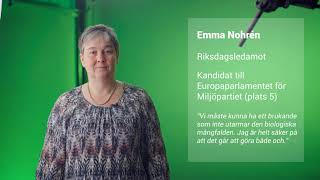 Skogen och EU-valet: kandidatintervju med Miljöpartiet