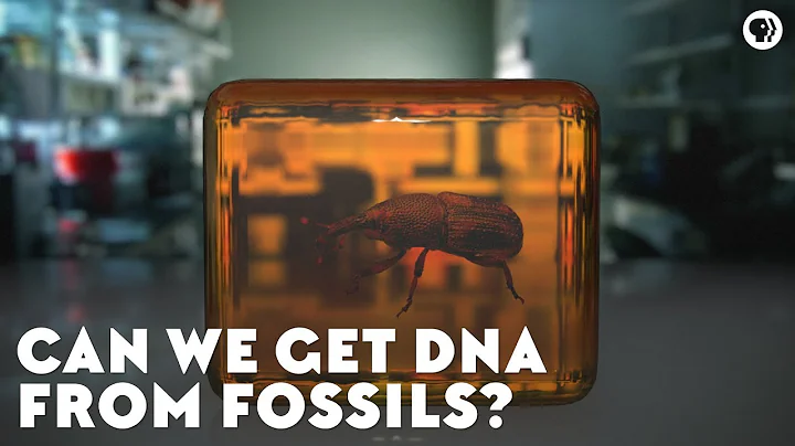 Can We Get DNA From Fossils? - DayDayNews