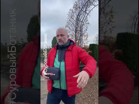 Приперлись в крутейший питомник бонсай и топиаров #Ниваки