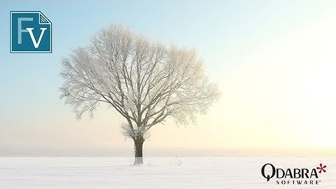 Four Cool Hacks for your FormsViewer forms: Qdabra Webinar 3/1/2018