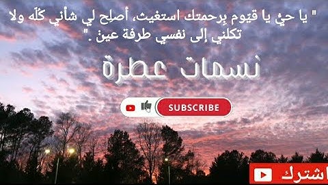 محمد عطية وما تيسر من سورة الشوري❤️❤️❤️❤️❤️QURAN❤️❤️تلاوة عطرة