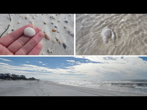 Video: Kako Gnjaviti Nekoga S Floride Panhandle