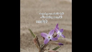 تلاوة خاشعة من سورة يوسف القارئ حمود الضيف الله