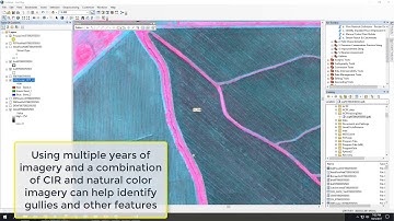 Lecture 9 - Populating the StreamType Field