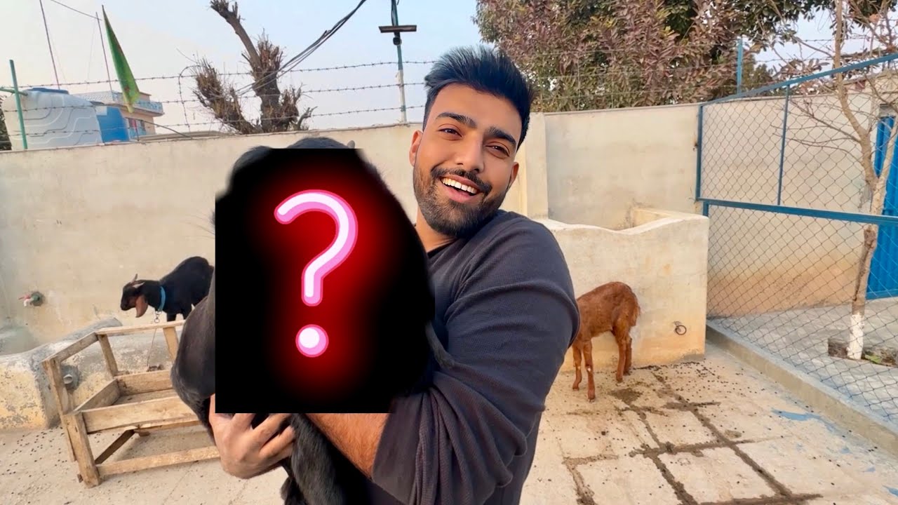 Hamary New Animal Pr To Ksi Nay Dehan He Nai Dia 😍 Kia Ho Skta