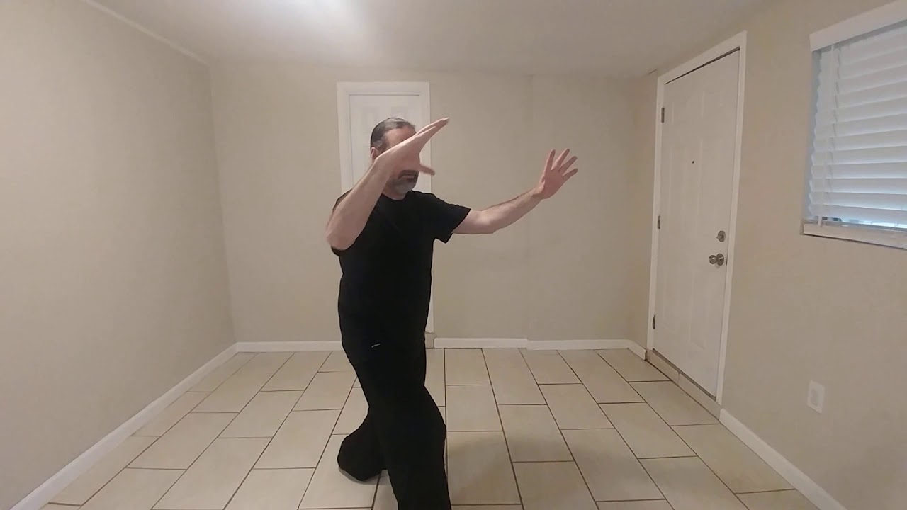 Yang Style Movements - Fair Lady Works At Shuttles