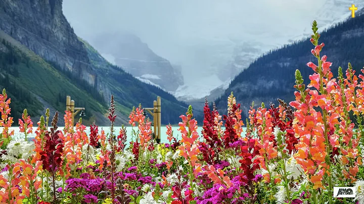 Best of Jimmy Swaggart Live 11 (1970's-1980's)