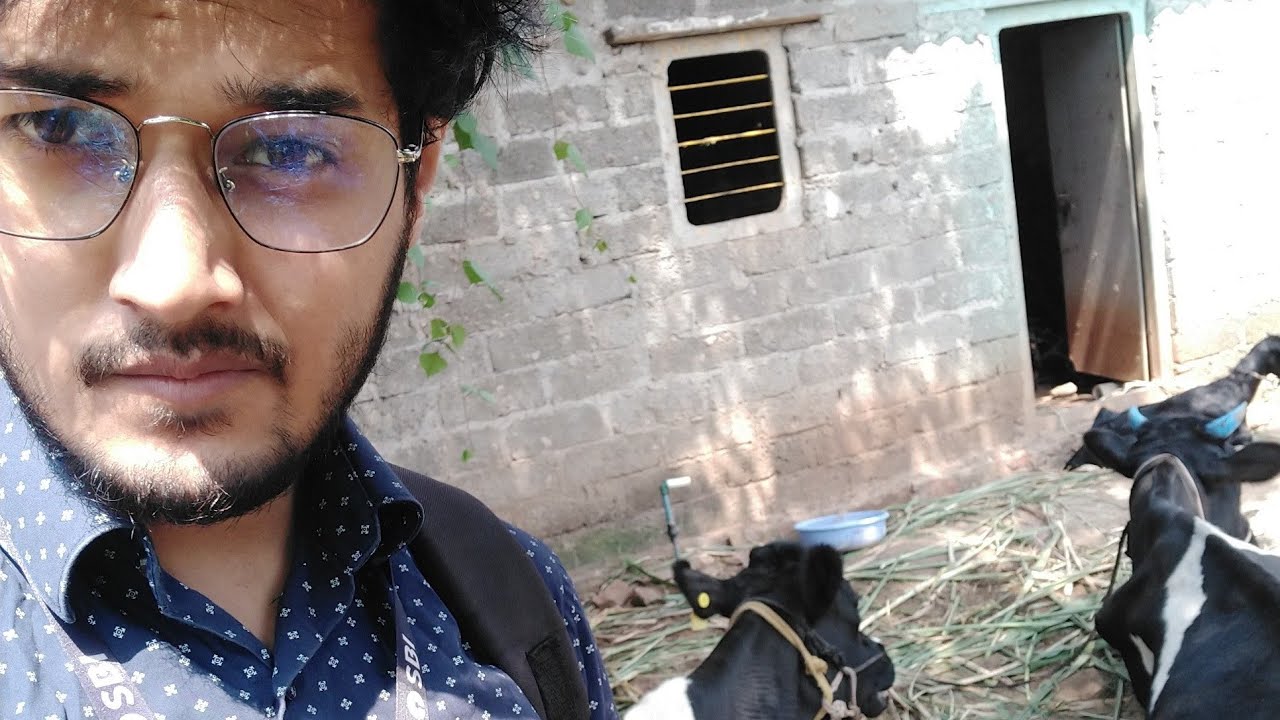 SBI PO RURAL POSTING | Am I punished?? - SBI PO