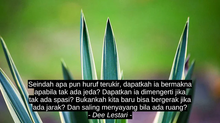 Daniel Willey Best Motivation Quotes