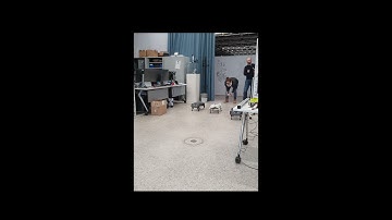 Intrinsische Bewegungen für Roboter nutzen/ Utilising intrinsic movements for robots