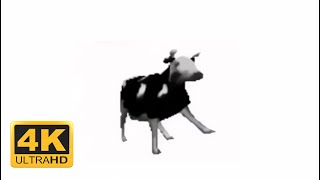 Корова Танцует Под Польскую Музыку | Польская Корова | 4K Ultra Hd 60 Fps | Мем | Для Вп