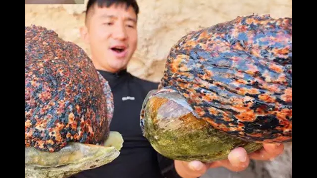 Morocco Sahara Adventure Ep.1 Searching Snail Beads & Chaos With Giant Lobsters! SURVIVAL CHALLENGE