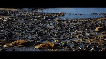 UE4 - Substance Designer