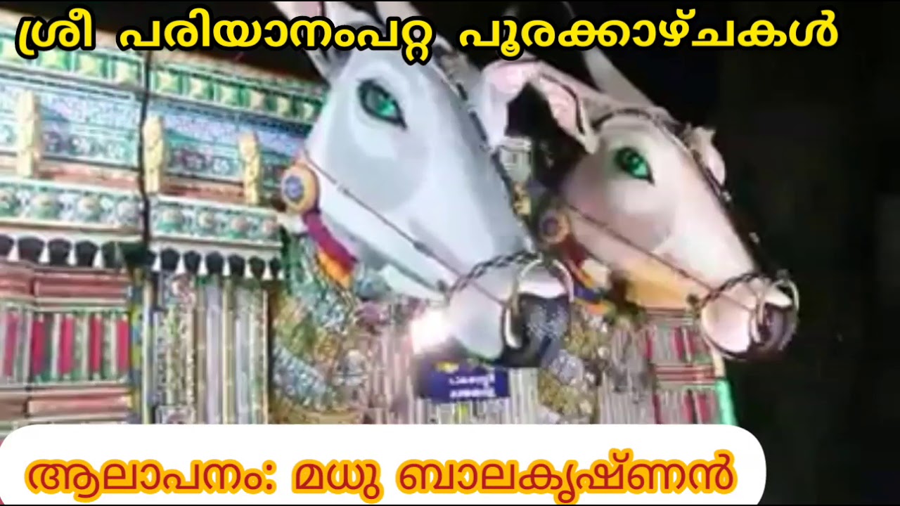 ചെമ്പരത്തി മാലകെട്ടി...... പരിയാനംപറ്റയിലേക്ക് വന്ന 'മാണിക്യവീണ' [ശ്രീ പരിയാനംപറ്റ ദേവീസ്തുതികൾ]