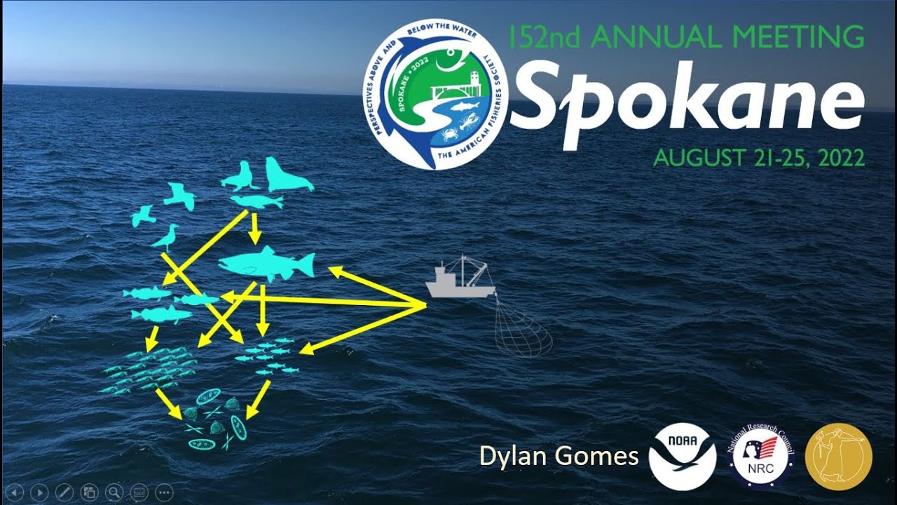 Building end-to-end ecosystem models and a call for open science