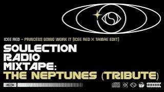 Icee Red - PRINCESS GOING WORK IT [ICEE RED x TAMAE EDIT]