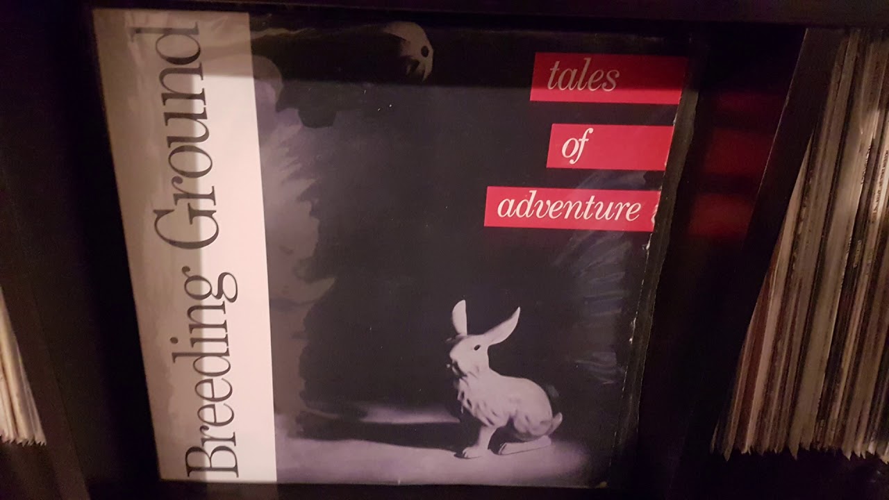 BREEDING GROUND-   THIS TIME TOMORROW