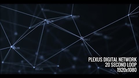 Plexus Digital Network /// Motion Graphics