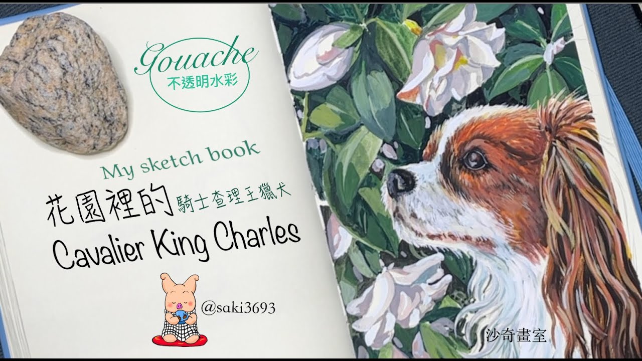 How to draw a dog/騎士查理王獵犬(cavalier king Charles)/不透明水彩/gouache - YouTube