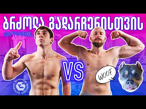 ბრძოლა გადარჩენისთვის @DavidAndDogs vs AVTANDIL SHOW