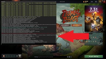 Dota 2 console not opening | Fixed