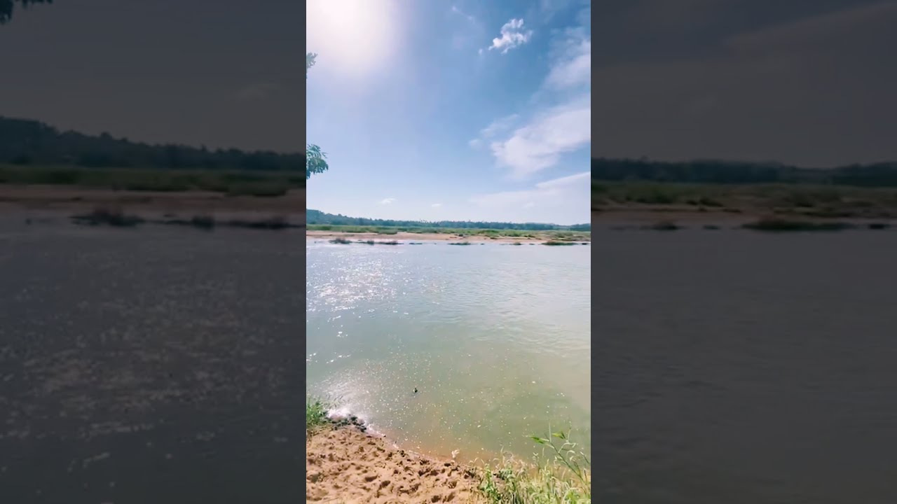 Shorts || Neemuz World 