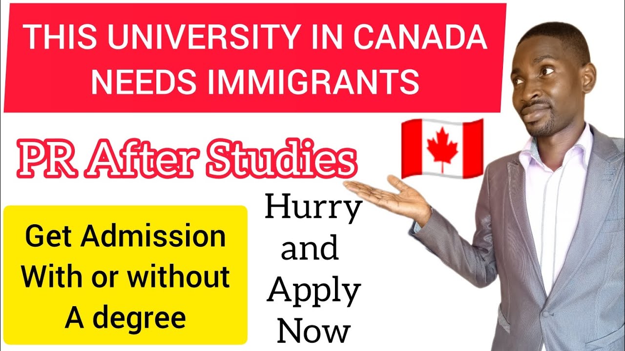 Move to Canada 🇨🇦 for free with or without a degree | PR after studies