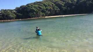 Talley Beach Net Worth