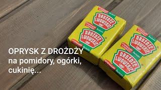 OPRYSK Z DROŻDŻY na pomidory, ogórki, cukinię...