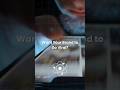 Want Your Brand to Go Viral? Inteliqo Is What You Need