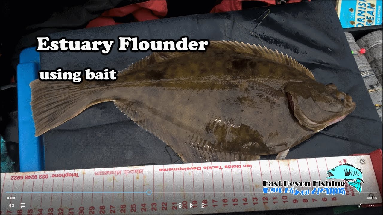 flounder fishing flounder fishing