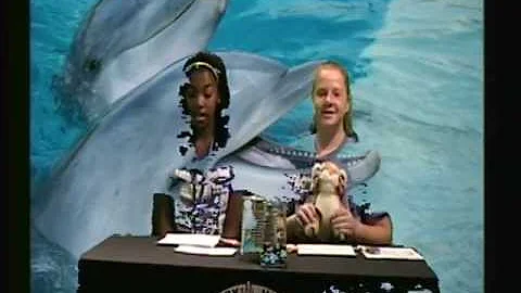 Plaza Middle School Broadcast October 22, 2012