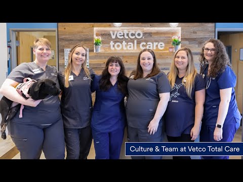 How Much Is A Vetco Visit