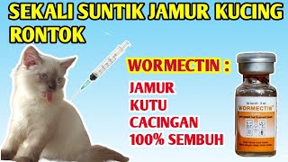 Suntik jamur kucing sendiri,jamur langsung rontok