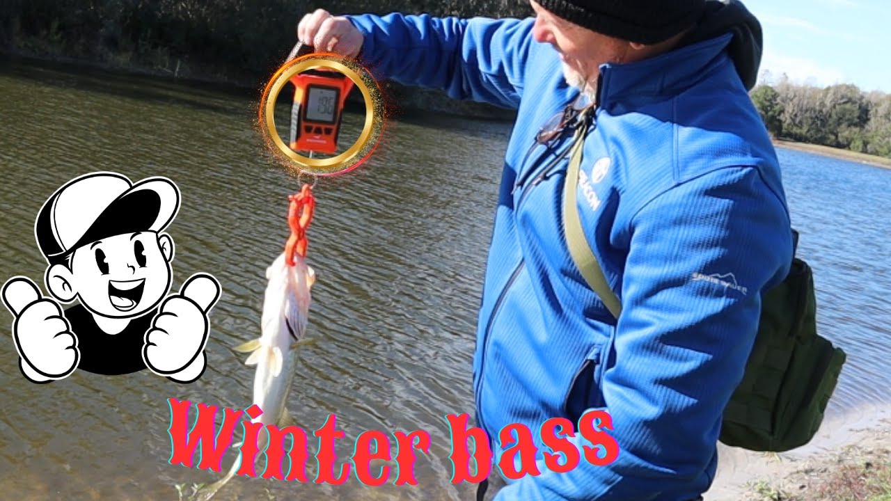 Winter Wonders: Bank Fishing for Florida bass in windy cold conditions with a low catch score.