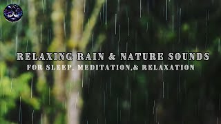 🌧️ Relaxing Rain & Nature Sounds | Calming Sleep Meditation Music Mix by Otherworldly Soundscapes 38 views 13 days ago 2 hours