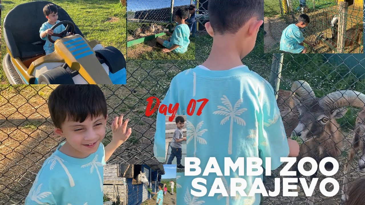 Bambi Zoo Sarajevo – A Heartwarming Animal Sanctuary 🦌🐐